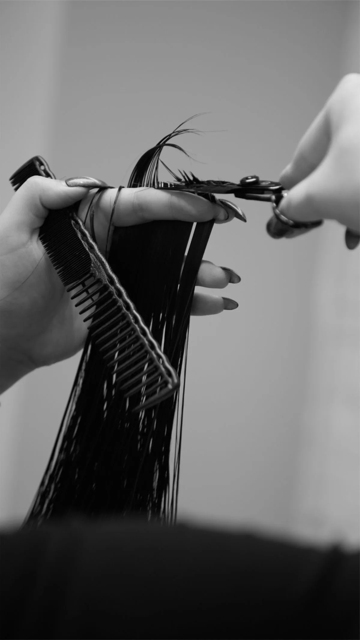 Coupe — Maison Texture & couleur